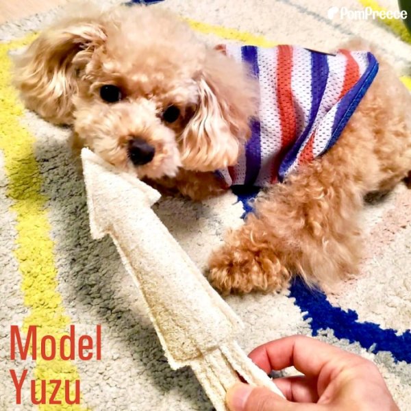 画像10: 【ポイント10倍で会員様はお得】犬 猫 選べるデンタルヘチマTOYデンタルヘチマTOY　ポンポリース (10)