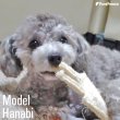 画像11: 【ポイント10倍で会員様はお得】犬 猫 選べるデンタルヘチマTOYデンタルヘチマTOY　ポンポリース (11)