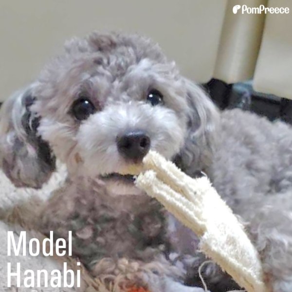 画像11: 【ポイント10倍で会員様はお得】犬 猫 選べるデンタルヘチマTOYデンタルヘチマTOY　ポンポリース (11)