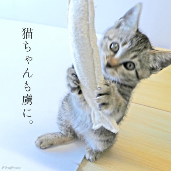 画像12: 【ポイント10倍で会員様はお得】犬 猫 選べるデンタルヘチマTOYデンタルヘチマTOY　ポンポリース (12)