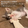 画像3: 【ポイント10倍で会員様はお得】犬 猫 選べるデンタルヘチマTOYデンタルヘチマTOY　ポンポリース (3)
