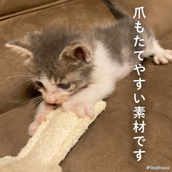 画像4: 【ポイント10倍で会員様はお得】犬 猫 選べるデンタルヘチマTOYデンタルヘチマTOY　ポンポリース (4)