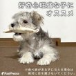 画像2: 【ポイント10倍で会員様はお得】犬 猫 選べるデンタルヘチマTOYデンタルヘチマTOY　ポンポリース (2)