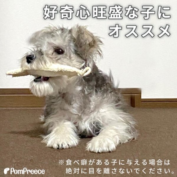 画像2: 【ポイント10倍で会員様はお得】犬 猫 選べるデンタルヘチマTOYデンタルヘチマTOY　ポンポリース (2)