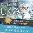 画像10: 【10%OFFクーポン発行中】アミアンピュア60 除菌水 弱酸性 次亜塩素酸水 ※ご希望のタイプをご選択ください（1L単品・250ml・300mlスプレータイプ・6本〜18本セット・10L箱） (10)