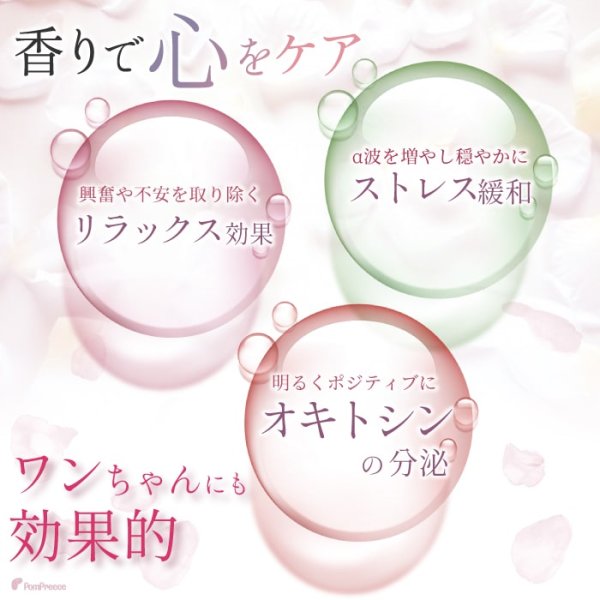 画像4: 【ポイント10倍で会員様はお得】 犬 香水 アロマ フレグランス ローズ ペット 愛犬用ローズフレグランス(ローズドゥレーブ) (4)