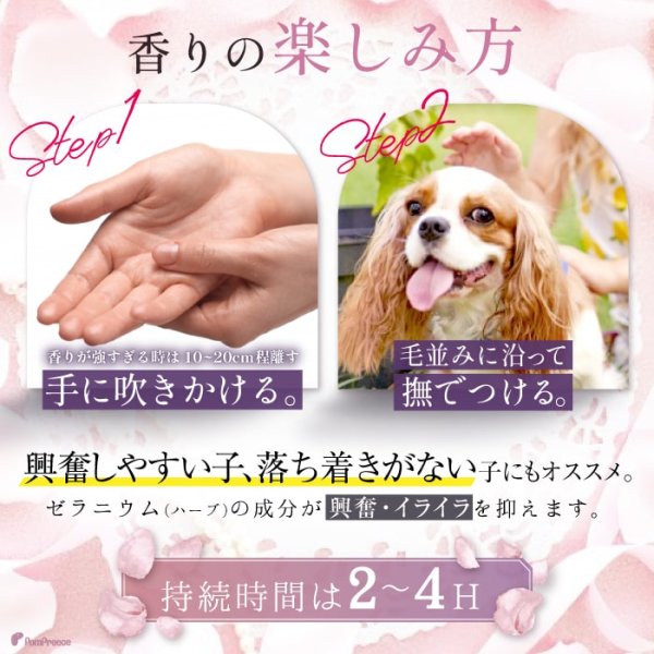 画像7: 【ポイント10倍で会員様はお得】 犬 香水 アロマ フレグランス ローズ ペット 愛犬用ローズフレグランス(ローズドゥレーブ) (7)