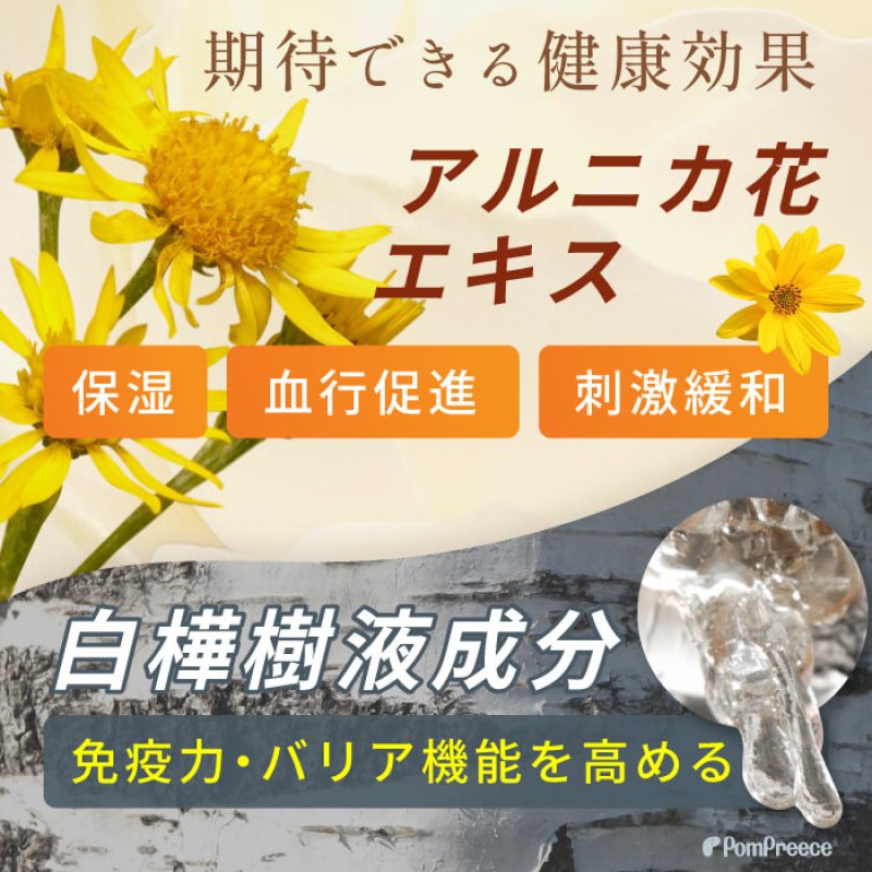 画像6: アミアンティーム 足裏アンチスリップローション (6)