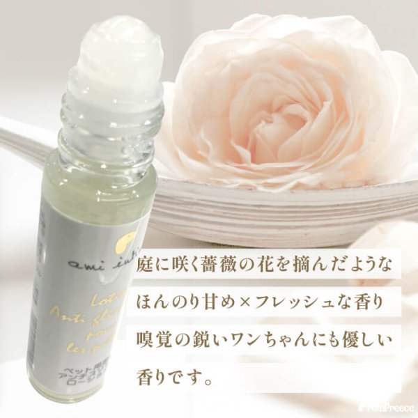 画像7: 【ポイント10倍で会員様はお得】 アミアンティーム 足裏アンチスリップローション (7)