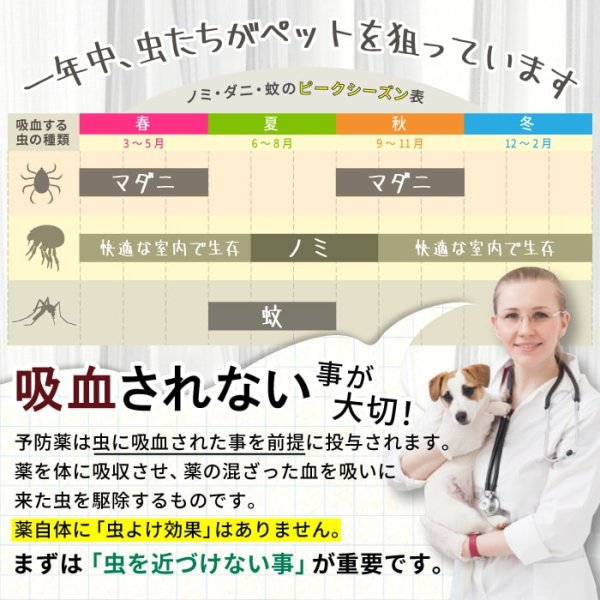 画像6: 【ポイント10倍で会員様はお得】 ムシイヤイヤ パルファン（ペット用防虫香水） (6)