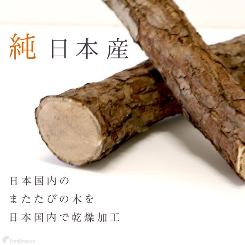 画像6: 国産 ニャンともBIG またたびの木 （2本入） (6)