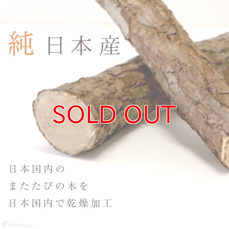 画像6: 国産 ニャンともBIG またたびの木 （2本入） (6)