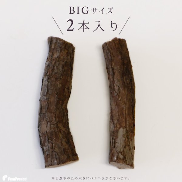 画像7: 【ポイント10倍で会員様はお得】[ネコpom]国産　ニャンともBIG　またたびの木（2本入） (7)