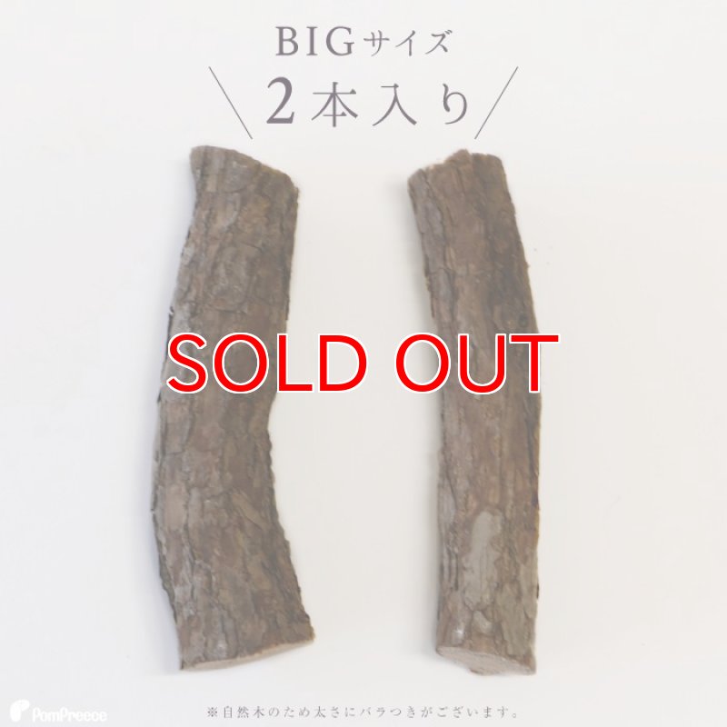 画像7: 国産 ニャンともBIG またたびの木 （2本入） (7)