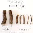 画像8: 【ポイント10倍で会員様はお得】[ネコpom]国産　ニャンともBIG　またたびの木（2本入） (8)