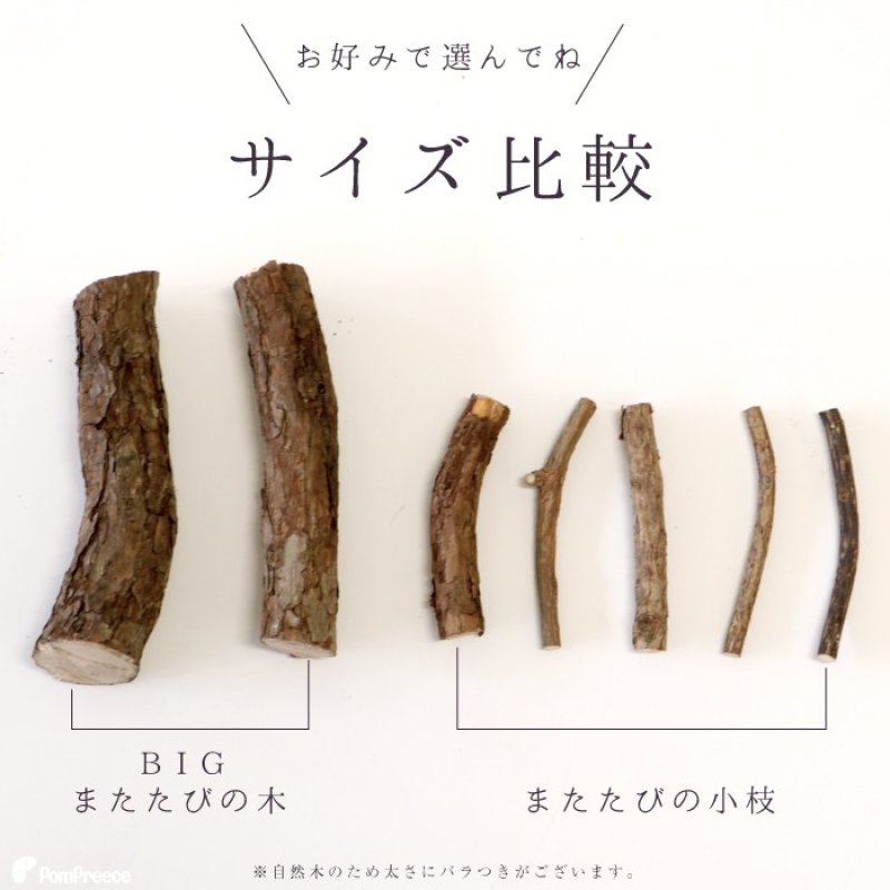 画像8: 国産 ニャンともBIG またたびの木 （2本入） (8)