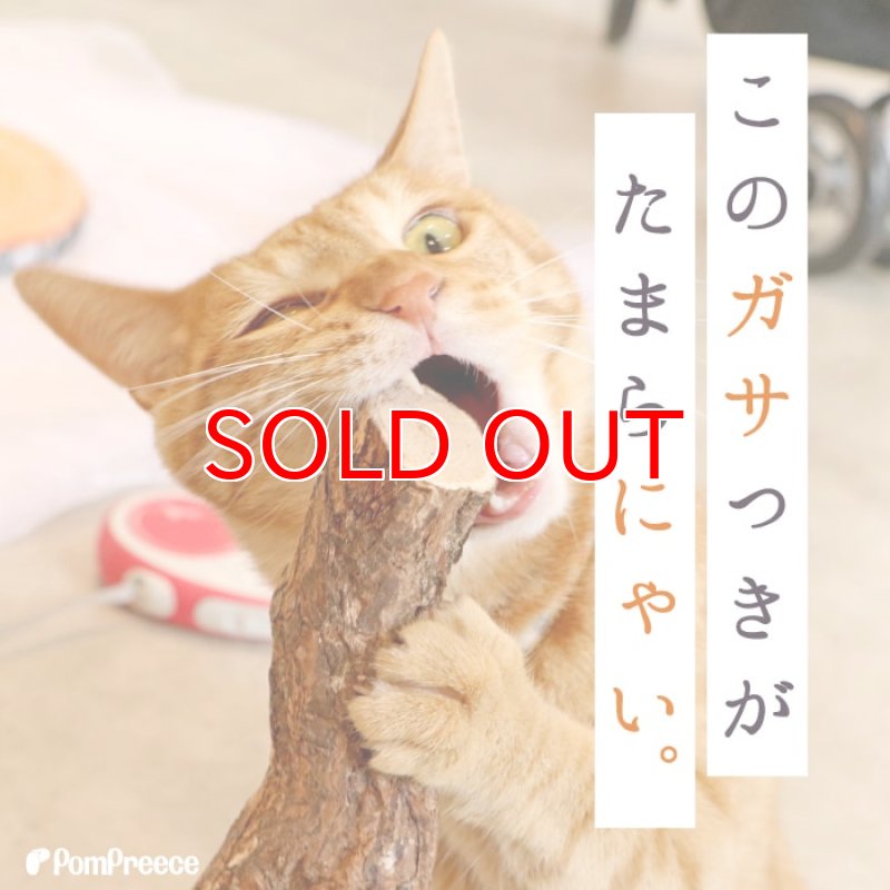 画像3: 国産 ニャンともBIG またたびの木 （2本入） (3)