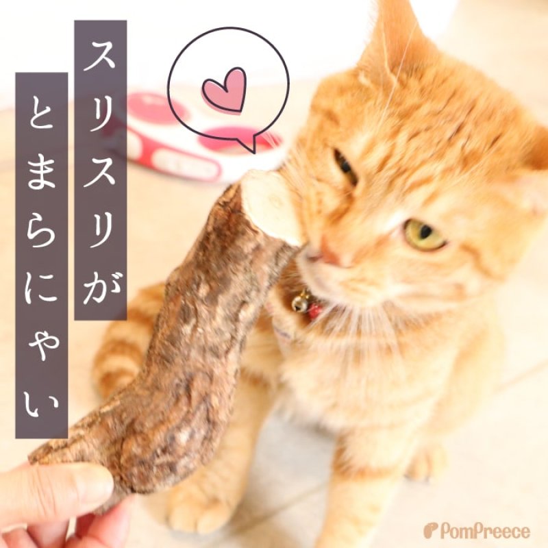 画像5: 国産 ニャンともBIG またたびの木 （2本入） (5)