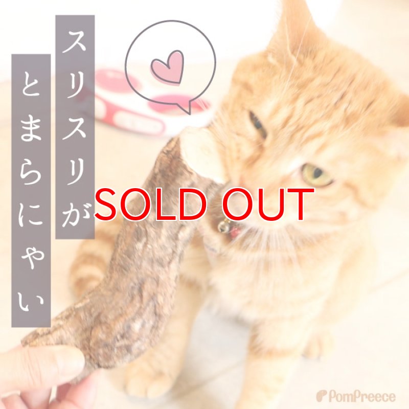 画像5: 国産 ニャンともBIG またたびの木 （2本入） (5)