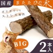 画像1: 【ポイント10倍で会員様はお得】[ネコpom]国産　ニャンともBIG　またたびの木（2本入） (1)
