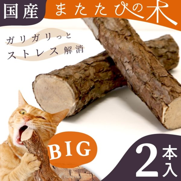画像1: 【ポイント10倍で会員様はお得】[ネコpom]国産　ニャンともBIG　またたびの木（2本入） (1)