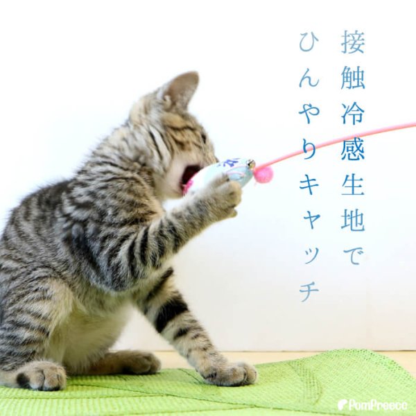 画像3: 【ポイント10倍で会員様はお得】じゃらしIC TOY ひえひえかき氷 またたび入り (3)