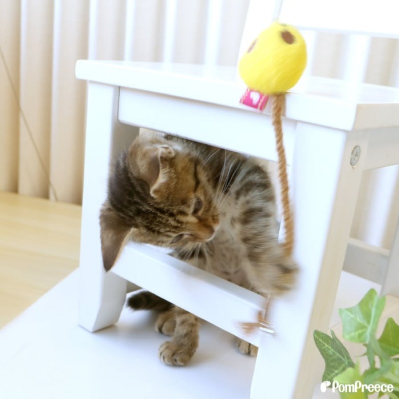 画像6: デンタルネットTOY またたび入り 鈴付き プチマウス (6)