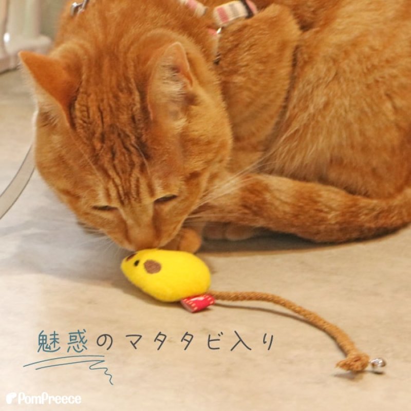 画像8: デンタルネットTOY またたび入り 鈴付き プチマウス (8)