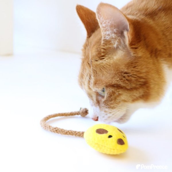 画像10: 【ポイント10倍で会員様はお得】 デンタルネットTOY またたび入りプチマウス※2点セット（ピンクとイエロー） (10)