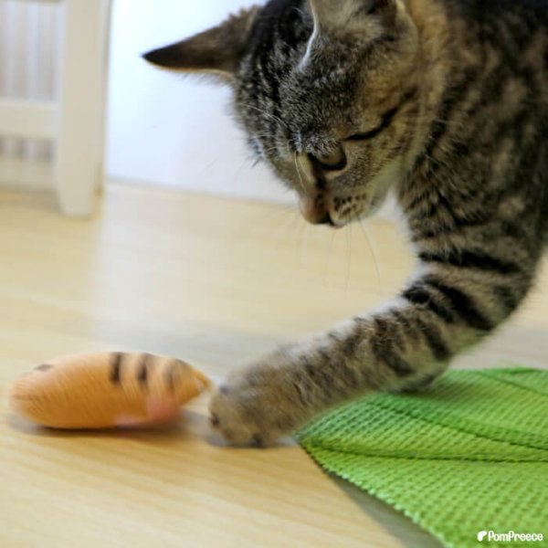 画像7: 【ポイント10倍で会員様はお得】またたび入りTOY ニャンコの手※ブラックのみとなります (7)