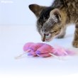 画像5: 【ポイント10倍で会員様はお得】カサカサTOY ナマケモノミニ ピンク1個とブルー1個ずつ　計2個のセット (5)