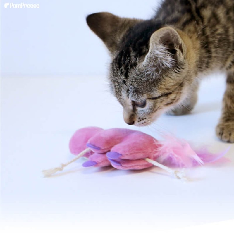 画像5: カサカサTOY ナマケモノミニ ピンク1個とブルー1個ずつ　計2個のセット (5)