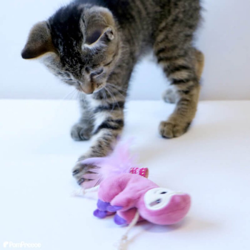 画像3: カサカサTOY ナマケモノミニ ピンク1個とブルー1個ずつ　計2個のセット (3)