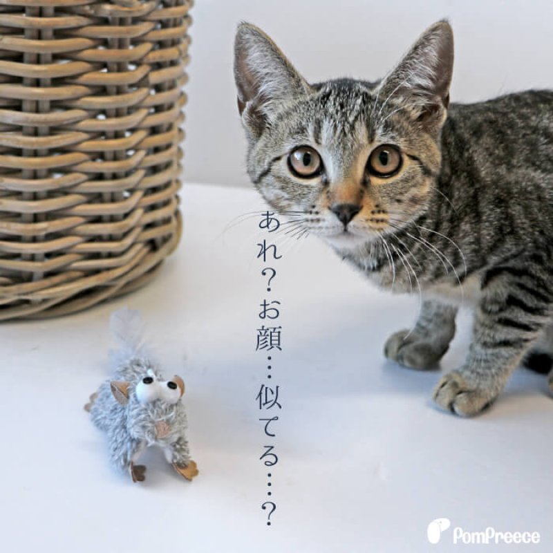画像5: カサカTOY ムササビ (5)