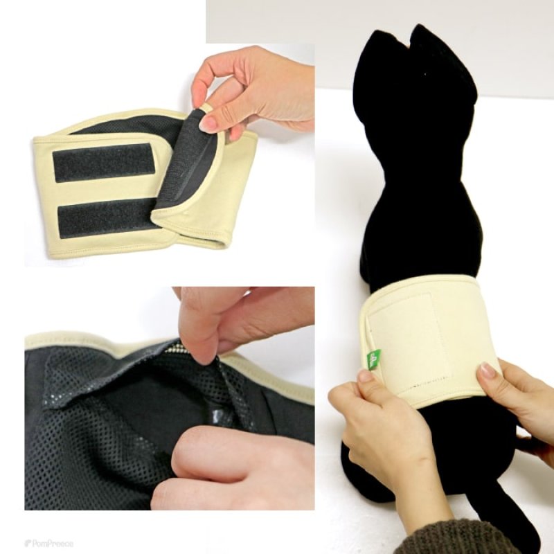 画像15: 【ポイント10倍で会員様はお得】 マナー兼用 ラジウム健康ベルト 自宅で簡単温泉効果 リラックス 冷え対策 介護 腰痛 ケガ　 【1〜10号】 (15)