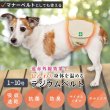 画像1: 【ポイント10倍で会員様はお得】 マナー兼用 ラジウム健康ベルト 自宅で簡単温泉効果 リラックス 冷え対策 介護 腰痛 ケガ　 【1〜10号】 (1)