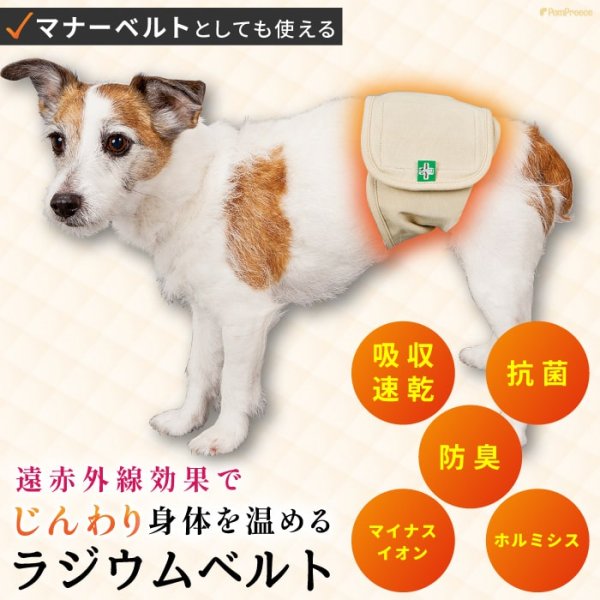 画像2: 【ポイント10倍で会員様はお得】 マナー兼用 ラジウム健康ベルト 自宅で簡単温泉効果 リラックス 冷え対策 介護 腰痛 ケガ　 【1〜10号】 (2)