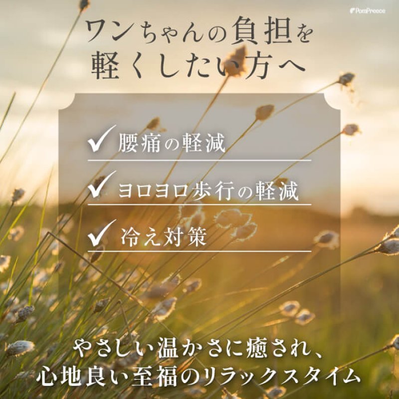 画像5: 【ポイント10倍で会員様はお得】カドラー対応ラジウム健康マット (5)