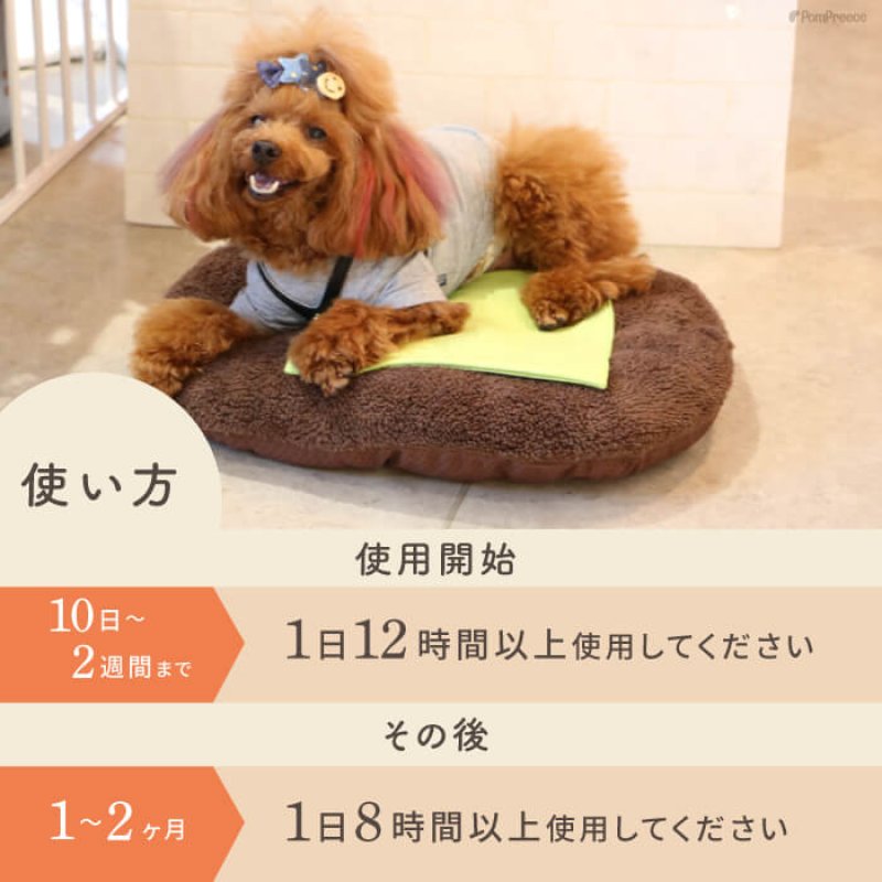 画像3: 【ポイント10倍で会員様はお得】カドラー対応ラジウム健康マット (3)