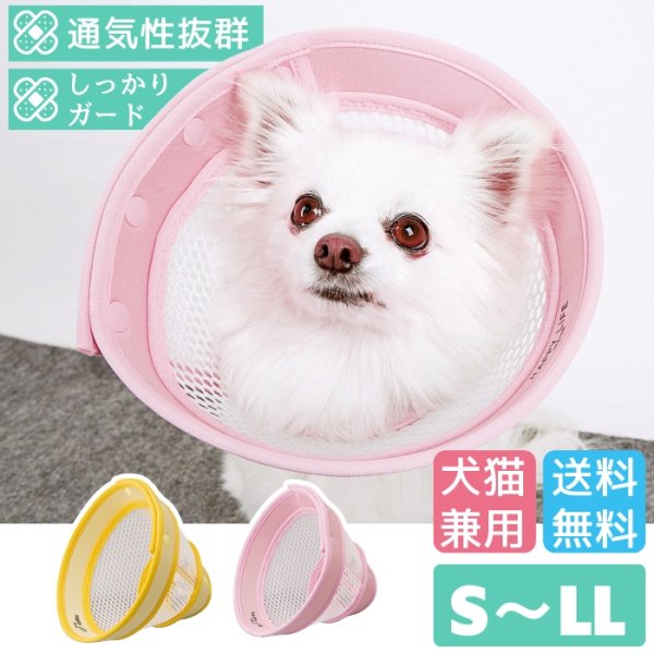 画像1: 【ポイント10倍で会員様はお得】 メッシュエリザベスカラ― ドットボタン留め 【S〜LL】 (1)