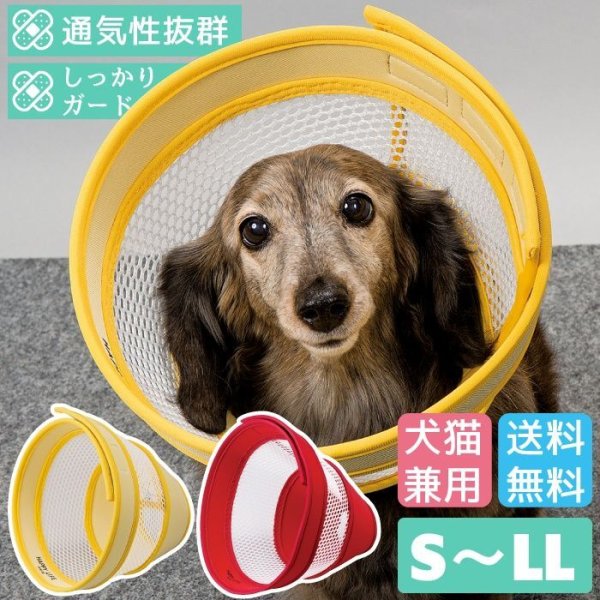 画像1: 【ポイント10倍で会員様はお得】  ロングメッシュエリザベスカラ― ベル型 面ファスナー留め 【S〜LL】 (1)
