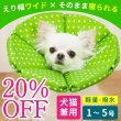 画像1: 【SALEでお得※在庫限りお早めに】20％OFF 犬 猫 ペット用 小型犬用 エリザベスカラー  ロングブリリアント エリザベスカラー ルンルン水玉※グリーンのみ【1〜5号】 (1)