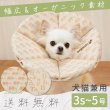 画像1: 【ポイント10倍で会員様はお得】  ロングブリリアントエリザベスカラ オーガニックジャガード柄【3S〜5号】 (1)