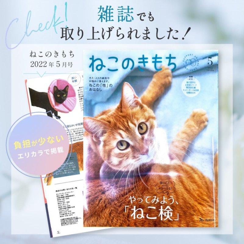 画像3: 【ポイント10倍で会員様はお得】犬猫兼用  ロングブリリアントエリザベスカラー ギンガム 【1〜5号】 (3)
