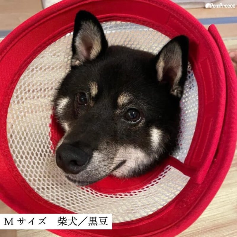 画像3: 【ポイント10倍で会員様はお得】 犬猫兼用 ロングメッシュエリザベスカラー ベル型 面ファスナー留め 【S〜M】※クリームのみ (3)
