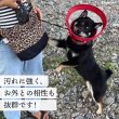 画像5: 【ポイント10倍で会員様はお得】  ロングメッシュエリザベスカラ― ベル型 面ファスナー留め 【S〜LL】 (5)