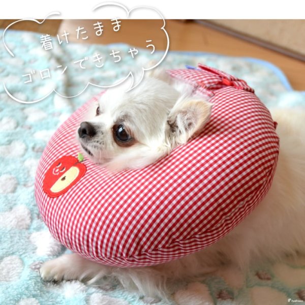 画像10: 【ポイント10倍で会員様はお得】 犬 猫 小動物 ペット用 エリザベスカラー ドーナツ型 発泡ビーズ ドーナツリング【1〜5号】 (10)