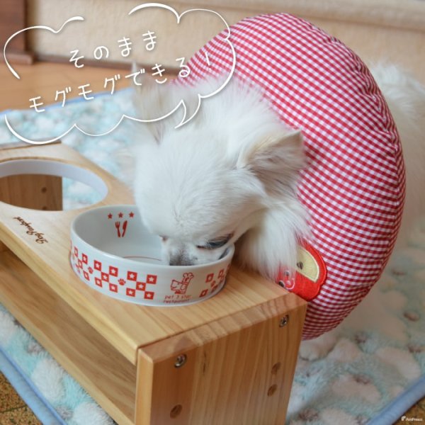 画像9: 【ポイント10倍で会員様はお得】 犬 猫 小動物 ペット用 エリザベスカラー ドーナツ型 発泡ビーズ ドーナツリング【1〜5号】 (9)