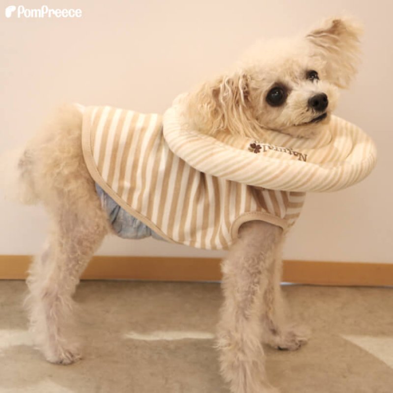 画像9: 犬猫兼用 ドーナツエリザベスカラー オーガニックボーダー【1〜5号】ドーナツの輪が3つのタイプ (9)