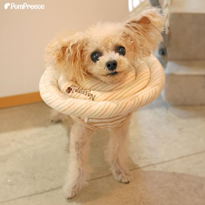 画像8: 犬猫兼用 ドーナツエリザベスカラー オーガニックボーダー【1〜5号】ドーナツの輪が3つのタイプ (8)